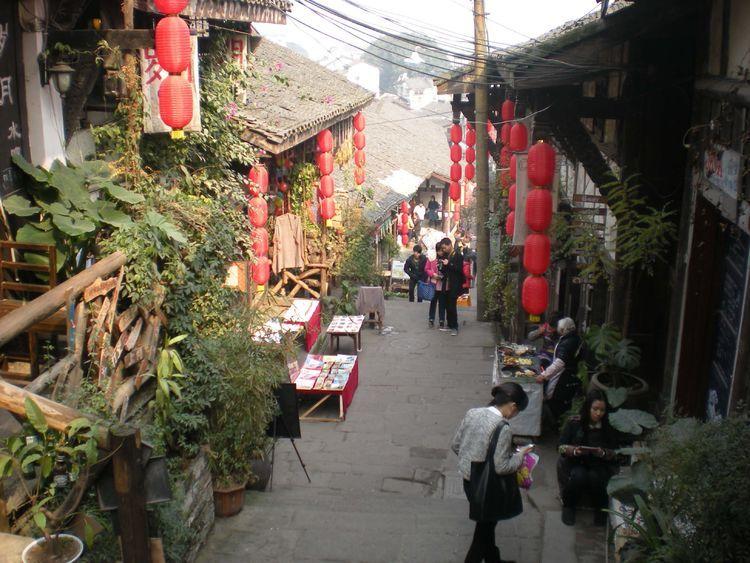 梦想之森